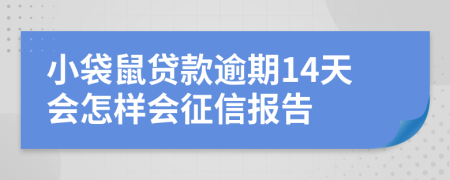 小袋鼠贷款逾期14天会怎样会征信报告