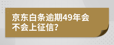 京东白条逾期49年会不会上征信？