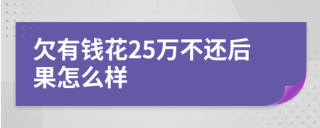 欠有钱花25万不还后果怎么样