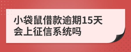 小袋鼠借款逾期15天会上征信系统吗