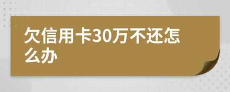 欠信用卡30万不还怎么办