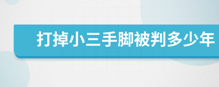 打掉小三手脚被判多少年