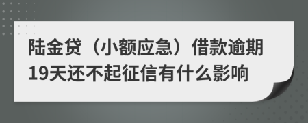 陆金贷（小额应急）借款逾期19天还不起征信有什么影响