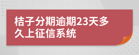 桔子分期逾期23天多久上征信系统