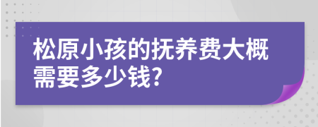 松原小孩的抚养费大概需要多少钱?