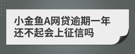 小金鱼A网贷逾期一年还不起会上征信吗