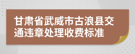 甘肃省武威市古浪县交通违章处理收费标准