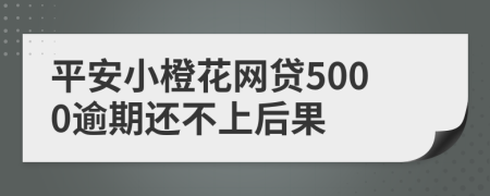 平安小橙花网贷5000逾期还不上后果