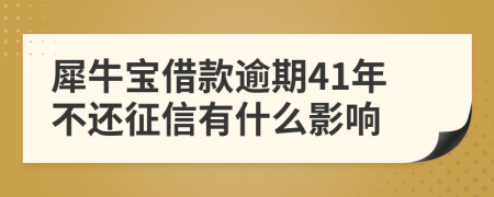 犀牛宝借款逾期41年不还征信有什么影响