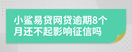 小鲨易贷网贷逾期8个月还不起影响征信吗