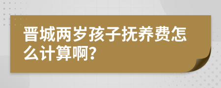 晋城两岁孩子抚养费怎么计算啊？