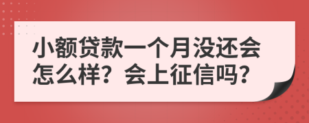 小额贷款一个月没还会怎么样？会上征信吗？