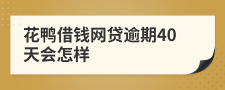 花鸭借钱网贷逾期40天会怎样