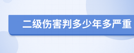 二级伤害判多少年多严重