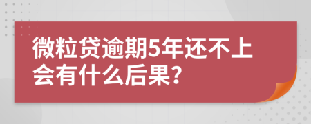 微粒贷逾期5年还不上会有什么后果？