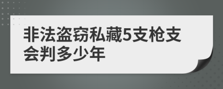 非法盗窃私藏5支枪支会判多少年