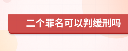 二个罪名可以判缓刑吗