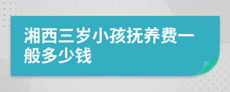 湘西三岁小孩抚养费一般多少钱