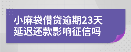 小麻袋借贷逾期23天延迟还款影响征信吗