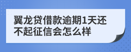 翼龙贷借款逾期1天还不起征信会怎么样