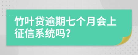 竹叶贷逾期七个月会上征信系统吗？