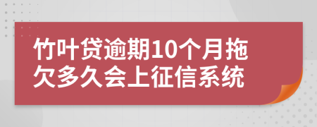 竹叶贷逾期10个月拖欠多久会上征信系统