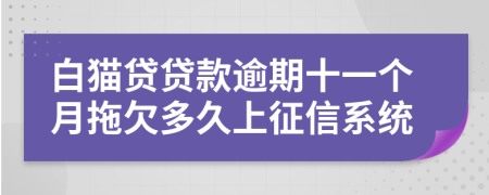 白猫贷贷款逾期十一个月拖欠多久上征信系统