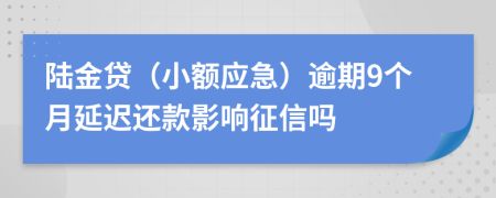 陆金贷（小额应急）逾期9个月延迟还款影响征信吗