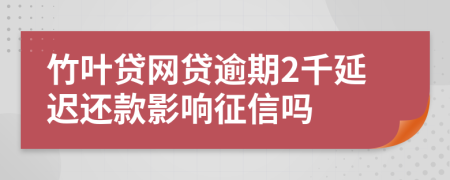 竹叶贷网贷逾期2千延迟还款影响征信吗