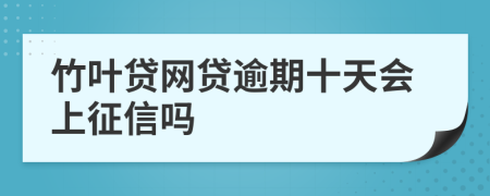 竹叶贷网贷逾期十天会上征信吗