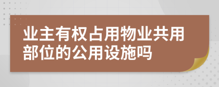 业主有权占用物业共用部位的公用设施吗