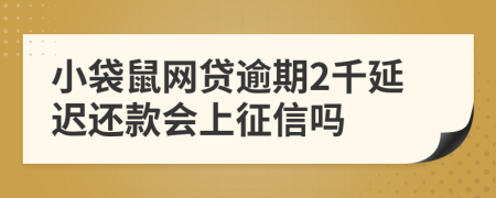 小袋鼠网贷逾期2千延迟还款会上征信吗