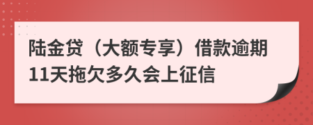 陆金贷（大额专享）借款逾期11天拖欠多久会上征信