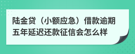 陆金贷（小额应急）借款逾期五年延迟还款征信会怎么样