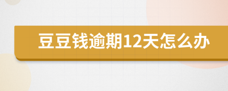 豆豆钱逾期12天怎么办