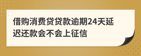 借购消费贷贷款逾期24天延迟还款会不会上征信