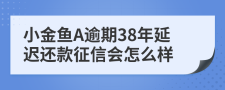 小金鱼A逾期38年延迟还款征信会怎么样