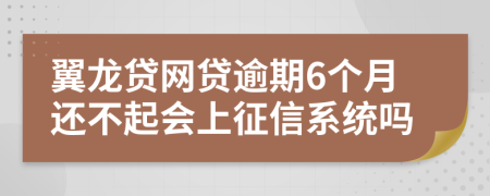 翼龙贷网贷逾期6个月还不起会上征信系统吗