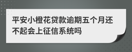 平安小橙花贷款逾期五个月还不起会上征信系统吗