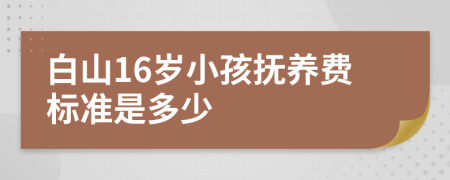 白山16岁小孩抚养费标准是多少