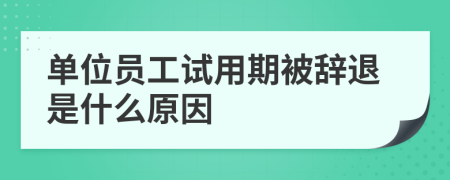 单位员工试用期被辞退是什么原因