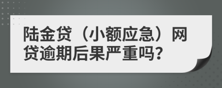 陆金贷（小额应急）网贷逾期后果严重吗？