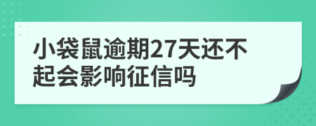 小袋鼠逾期27天还不起会影响征信吗