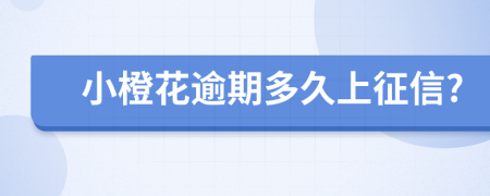小橙花逾期多久上征信?