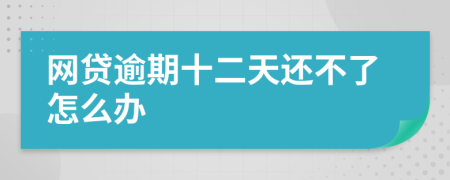 网贷逾期十二天还不了怎么办