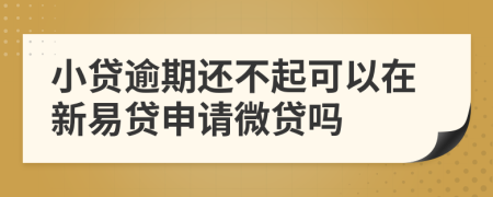 小贷逾期还不起可以在新易贷申请微贷吗