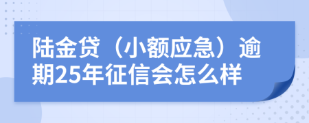 陆金贷（小额应急）逾期25年征信会怎么样