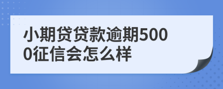 小期贷贷款逾期5000征信会怎么样