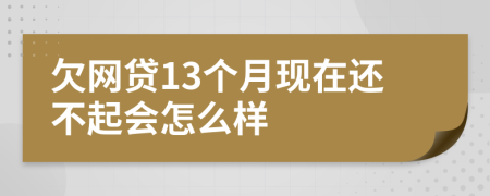 欠网贷13个月现在还不起会怎么样