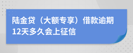 陆金贷（大额专享）借款逾期12天多久会上征信